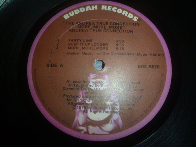 画像: ANDREA TRUE CONNECTION/MORE, MORE, MORE