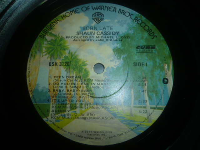 画像: SHAUN CASSIDY/BORN LATE