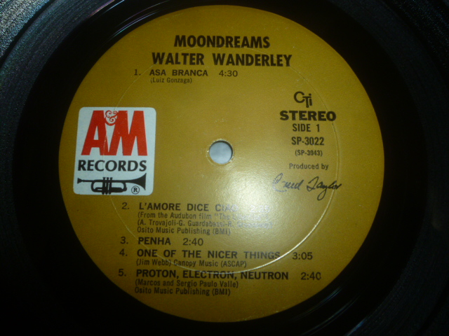 画像: WALTER WANDERLEY/MOONDREAMS