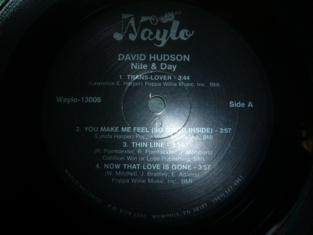 画像: DAVID HUDSON/NITE & DAY