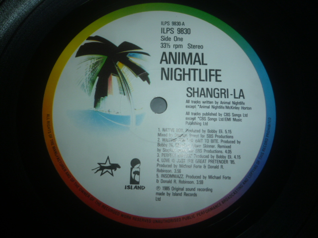 画像: ANIMAL NIGHTLIFE/SHANGLI-RA