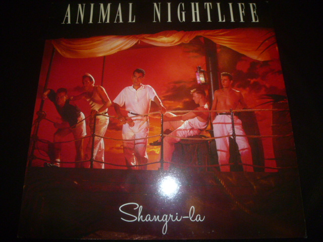 画像1: ANIMAL NIGHTLIFE/SHANGLI-RA