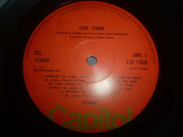 画像: TAVARES/LOVE STORM
