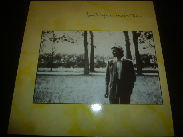 画像1: DAVID SYLVIAN/BRILLIANT TREES